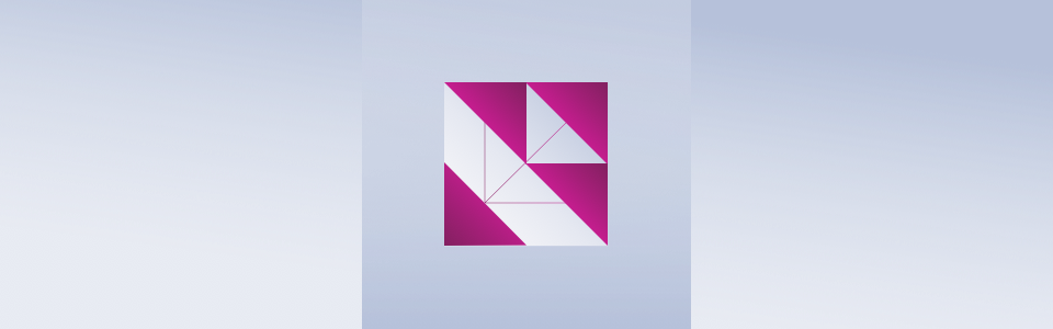 Software Solutions for Medium and Large Enterprises